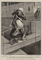 Imbarco del gatto del reggimento